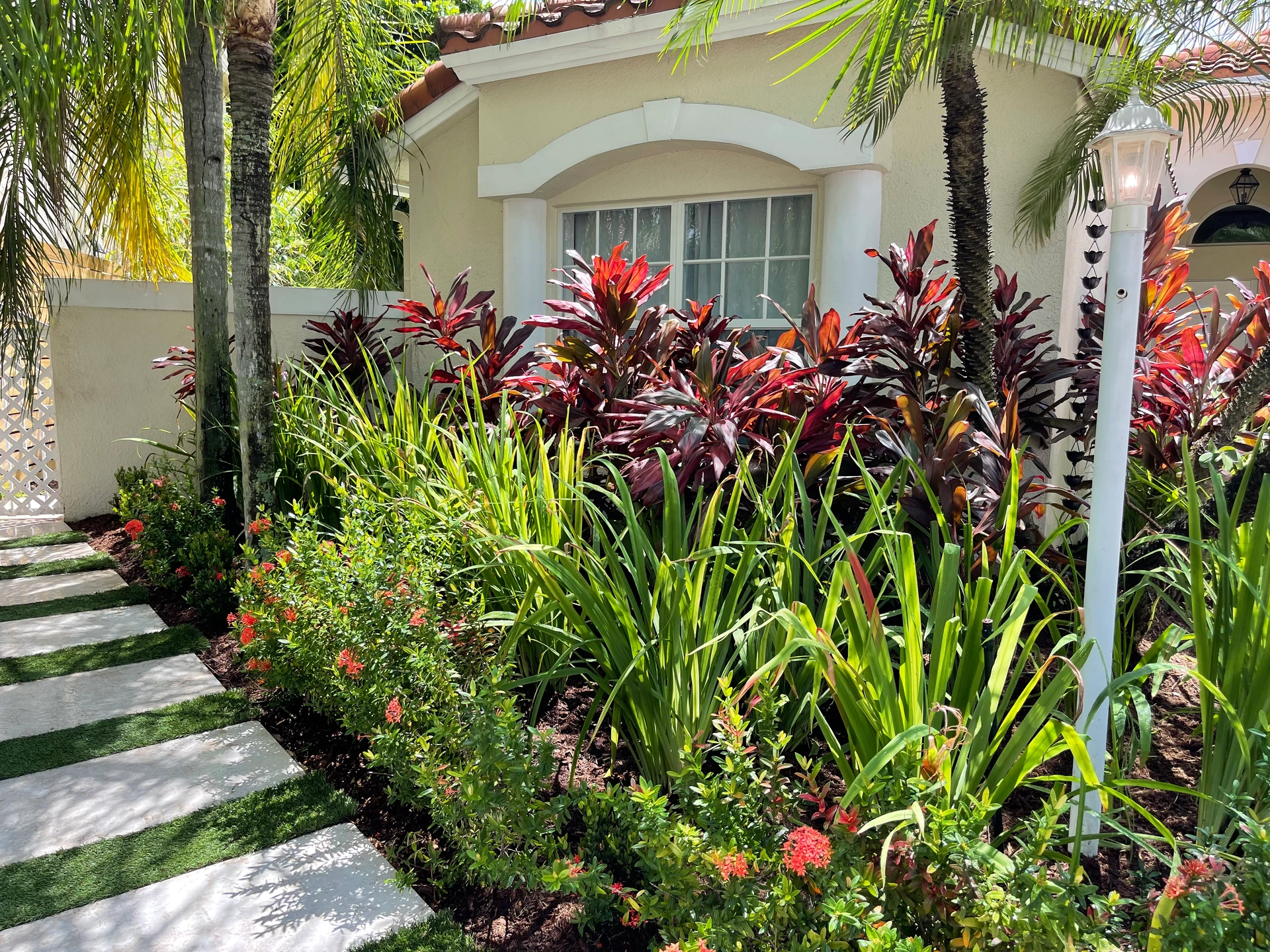 Tropical landscape planting from the Horticulture Professionals collection