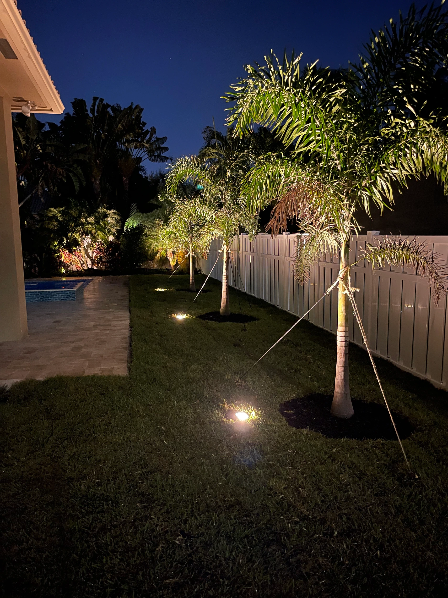 Illuminated landscaping from the Horticulture Professionals collection